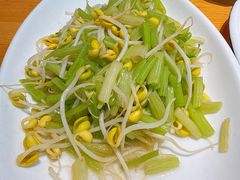 芹菜炒豆芽-金海湾海鲜排档(朱家尖店)