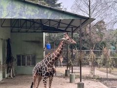 -祥源·阜阳生态乐园