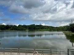 -东莞植物园