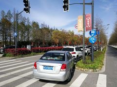 -上海长兴岛郊野公园