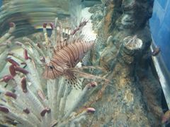 -福州罗源湾海洋世界旅游区