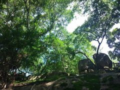 -乌山风景区