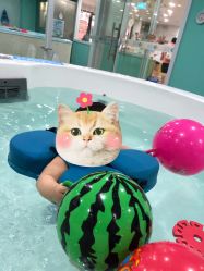 -鱼乐贝贝婴幼儿水育馆(星汇广场店)