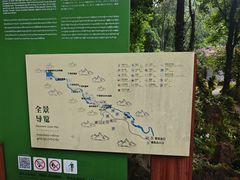 -莫里热带雨林景区