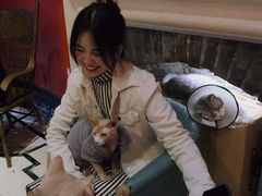 -猫色咖啡·猫咖
