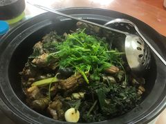 -寻味肇庆·八姑农庄·广府西江菜