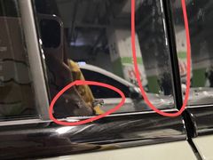 -天猫养车贴膜轻改·蓝电(优匹康桥东路店)