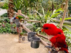 -南宫五洲植物乐园