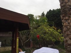 -金穗园温泉酒店