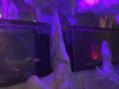 -哈尔滨太平湖温泉酒店