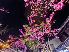 -大理文庙(大理古城)