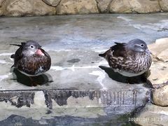 -海合安武汉极地海洋公园