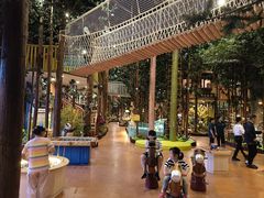 -黄海国家森林公园