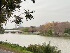 -海珠湖公园