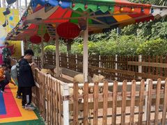 -广州长隆国际大马戏