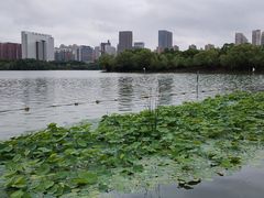 -天鹅湖体育公园