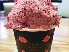 杨梅冰淇淋-野人先生现做冰淇淋(北京环宇荟店)