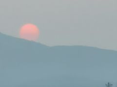 -浙江西子宾馆·牡丹厅