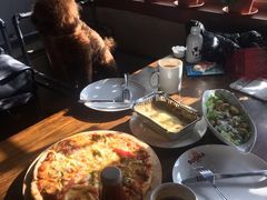 -百好乐宠物友好餐厅(朝外大街店)