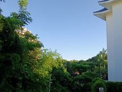 -厦门悦华酒店