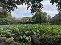 -上海醉白池公园