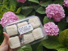 -沈大成(南京东路店)