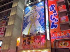 -秋叶原电器街