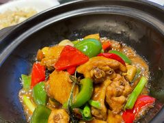 九层塔三杯鸡煲-海逸海鲜酒家(古北店)