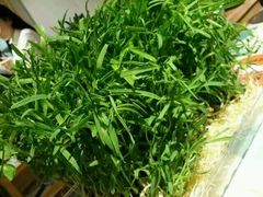 -南城十里潮汕鲜牛火锅·鲜虾生滚粥(融汇老商埠店)