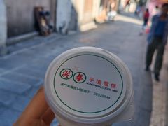 -洪馨椰子