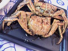 -松哥油焖大虾(皇岗一店)