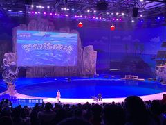 -华夏文旅海洋公园