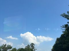 -厨神老街兔·淳朴人家店(盐帮菜风味名店)