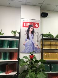 -良咔瘦身·减脂塑形