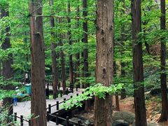 -国家植物园