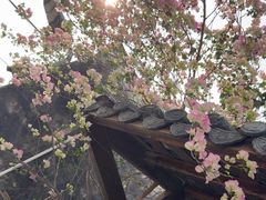 -三溪村