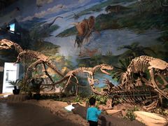 -自贡恐龙博物馆