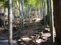 -山沟沟景区