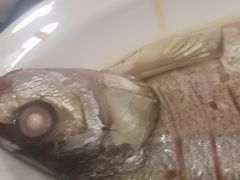 -鲁宴·鲁煨黄河生态大鲤鱼(月坛店)