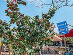 -桃源山庄·水蜜桃采摘·柴火鸡·烧烤团建(龙泉山店)
