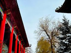 -哈尔滨极乐寺