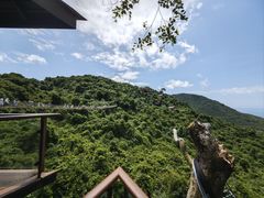 -亚龙湾热带天堂森林公园