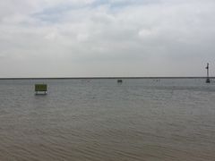 -碧海金沙