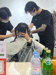 -时尚殿堂salon