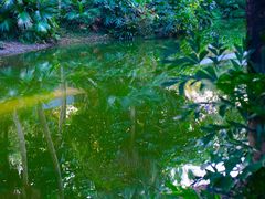 -人民公园(罗湖区)