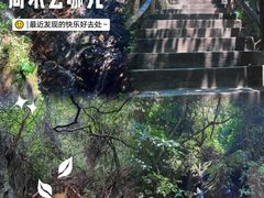 -南丹山森林王国