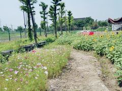 -菊园百果园