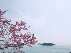 -棒棰岛宾馆景区