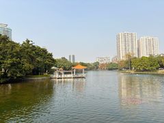 -荔湾湖公园