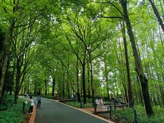 -昆明植物园
